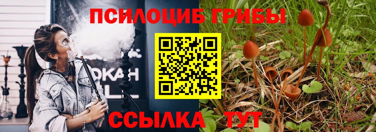 Рассказово  Псилоцибиновые грибы MAGIC MUSHROOMS  Вход с VPN  Галлюциногенные грибы мухоморы 